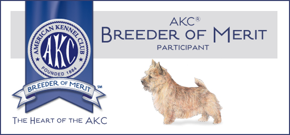 An AKC Breader of Merit